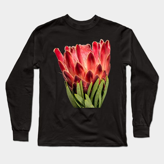 Colourful Oleanderleaf Protea Long Sleeve T-Shirt by scotch